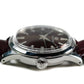 Grand Seiko Flow Of Seasons Boshu Elegance Burgundy SBGW287